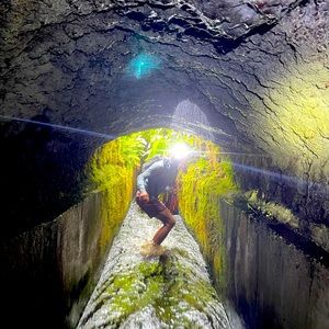 Meet your Posher, Beau